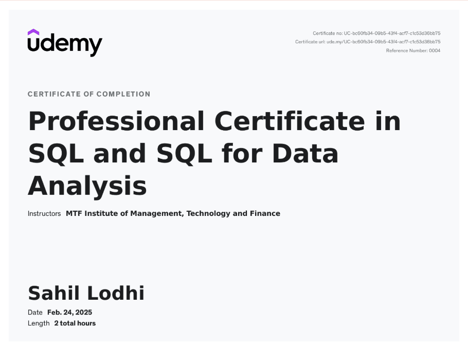 Udemy SQL Excel